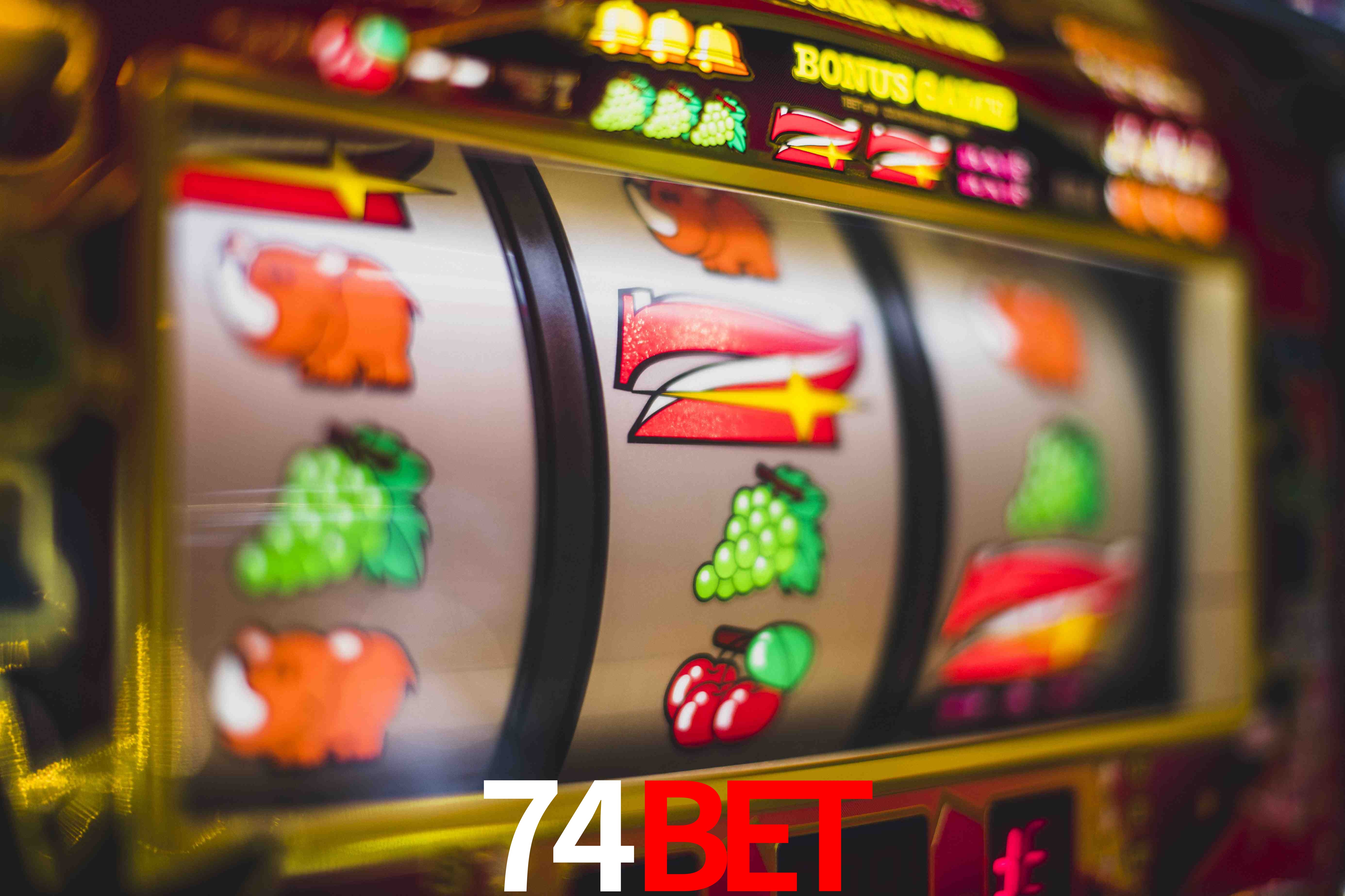 Account Benefits 74bet